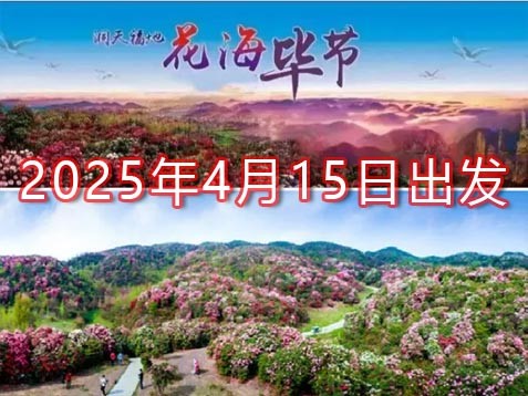 贵州黔西北 六天春游赏花之旅