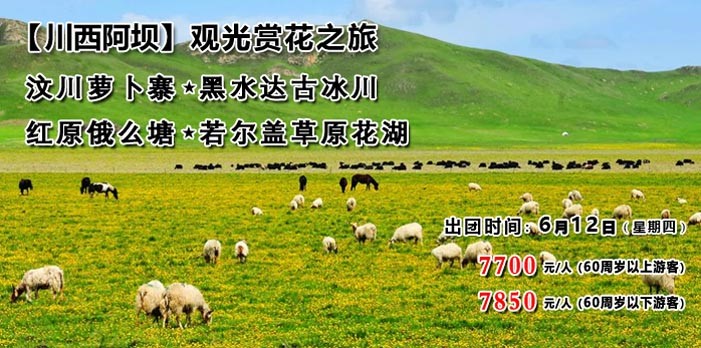 首页(1,2)幻灯片